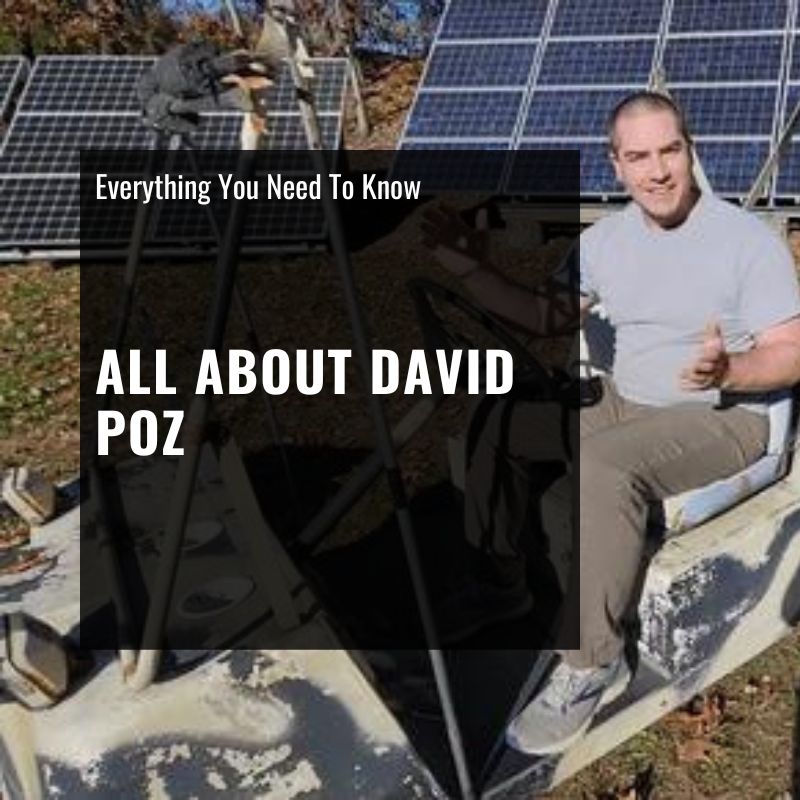 all about david poz