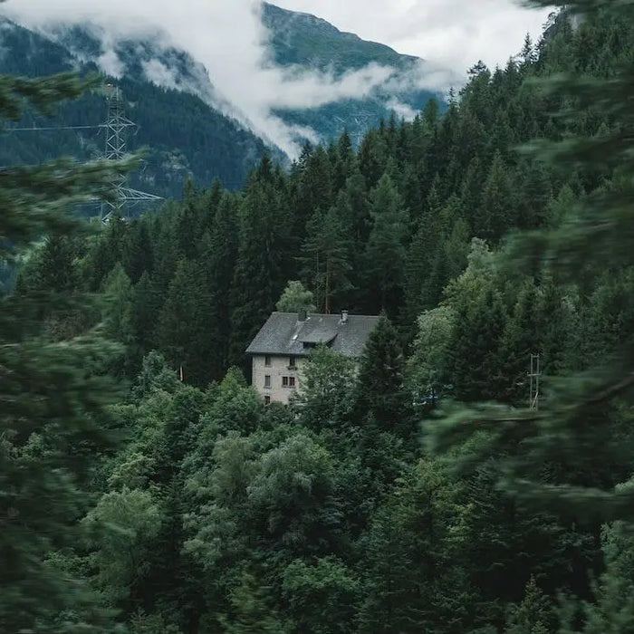 how much does it cost to live off the grid?