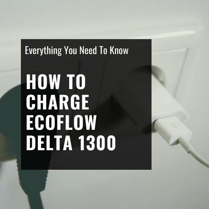 How to Charge Ecoflow Delta 1300
