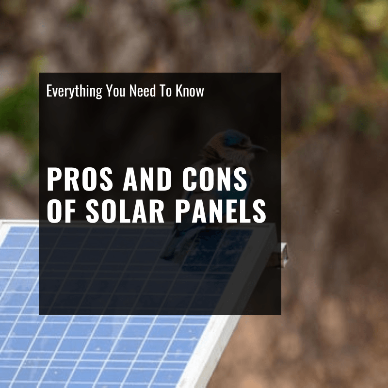 Pros and Cons of Solar Panels