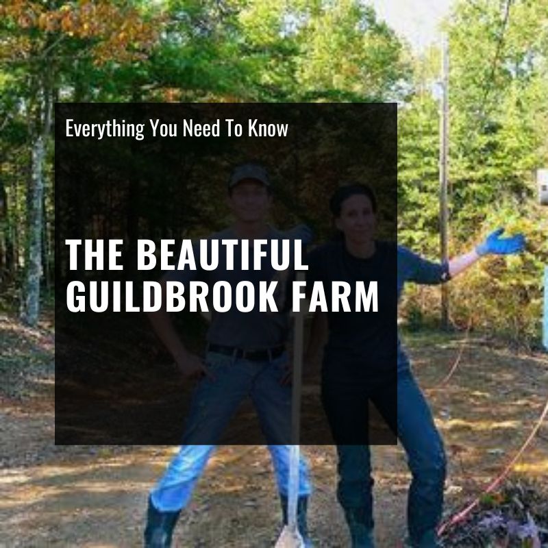 the beautiful guildbrook farm