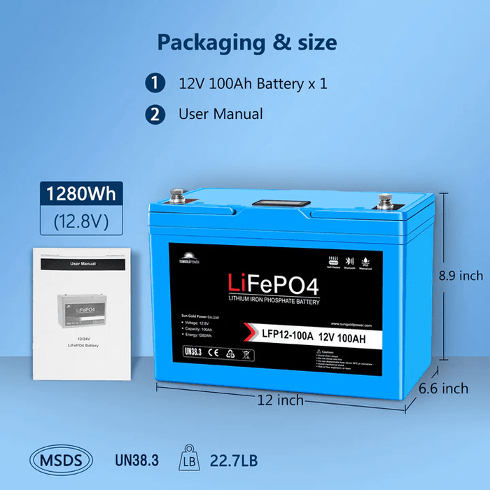 12V100Ah PSS Lithium LiFePO4 Battery – PSS