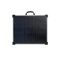 Lion Energy 100W LW 12V Solar Panel - ShopSolar.com