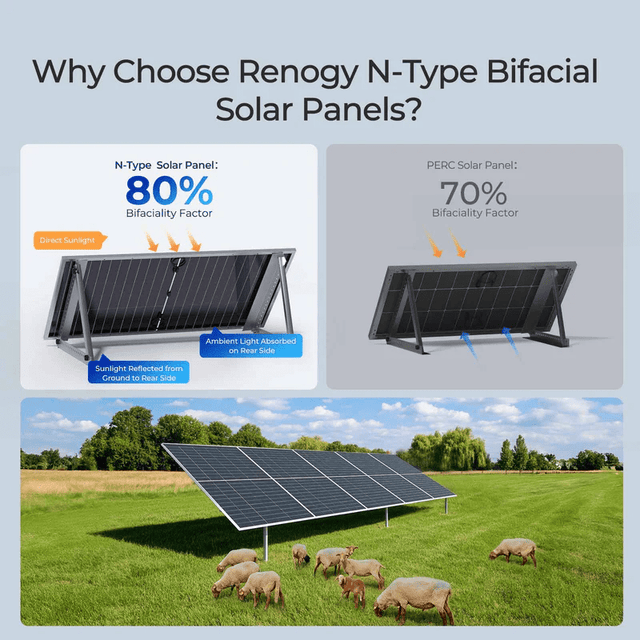 Renogy 590W Bifacial N-Type Solar Panel | Monocrystalline | Up to 130% Yield | 2-Pack | 25-Year Warranty - ShopSolar.com