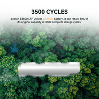Pecron E3800LFP Portable Power Station | 4,200W 3,840Wh LiFePO4 | 3,000W Solar + 3,200W AC Fast Charging | UPS | Expandable | 3+2 Yr Warranty - ShopSolar: Complete Solar Kits + Lifetime Customer Support