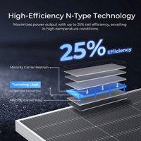 Renogy 590W Bifacial N-Type Solar Panel | Monocrystalline | Up to 130% Yield | 2-Pack | 25-Year Warranty - ShopSolar.com