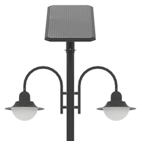 Solar Street Pole Light 2 x 20 Watt 2 x 3000 Lumens 5000K Black Housing Pathway Lighting Garden Light Solar Post Top CAPE Light | 5 Years Warranty - ShopSolar.com