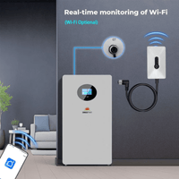 SunGold Power Powerwall X 51.2V 200Ah LiFePO4 Battery | 10.24kWh Solar Energy Storage with Touchscreen & BMS | 10-year Warranty - ShopSolar.com