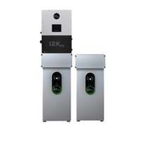 1 EG4 12kPV + 2 x EG4-WallMount Indoor Battery| 28.6kWh Capacity