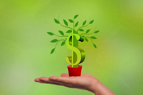 How Much Does A 200 Watt Solar Panel Cost