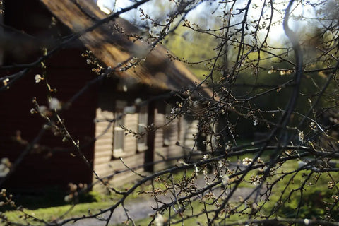 how to live off the grid