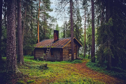how to go off grid and disappear