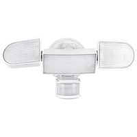 Rich Solar Solar Motion Security Light - ShopSolar.com