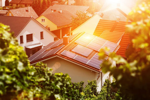 Lion Energy Solar Panel