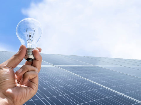 person holding lightbulb in front of solar panel