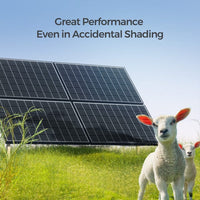 Renogy 320 Watt Monocrystalline Solar Panel - ShopSolar.com