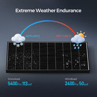 Renogy 320 Watt Monocrystalline Solar Panel - ShopSolar.com