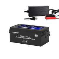 1 Battery + 24V Battery Charger