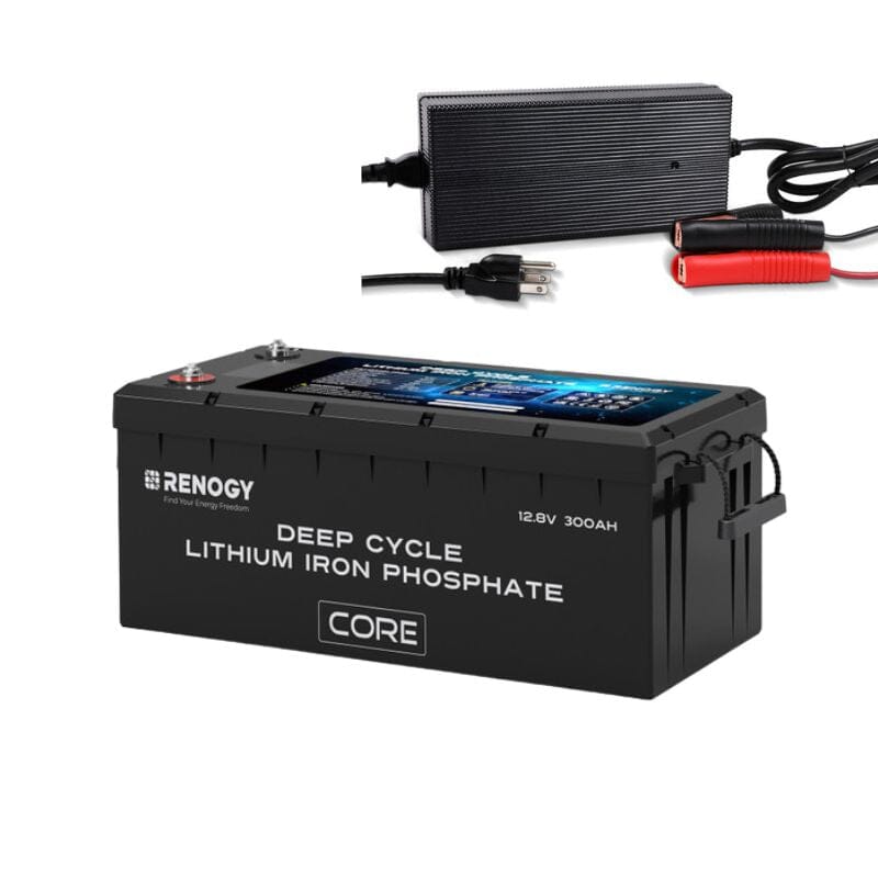 w/ 12V Battery Charger