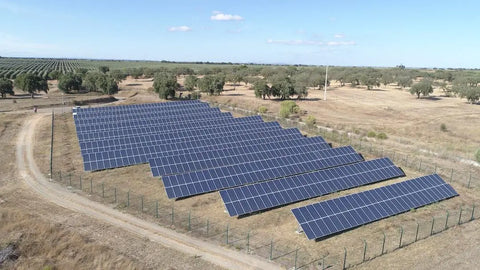 solar panel farm