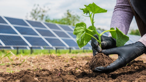 benefits of solar panels