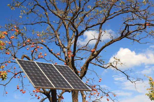 how many kwh does a 12kw solar system produce