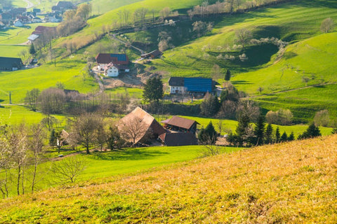 how you can set up solar panels off-grid