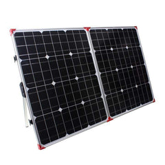 Lion Energy 100 watt solar panel