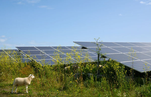 off grid solar system cost