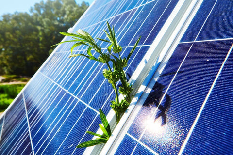 solar panels reflecting heat