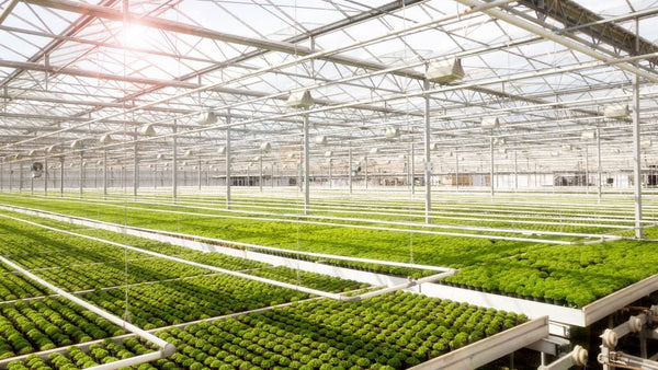 what is an advantage of using passive or active solar system