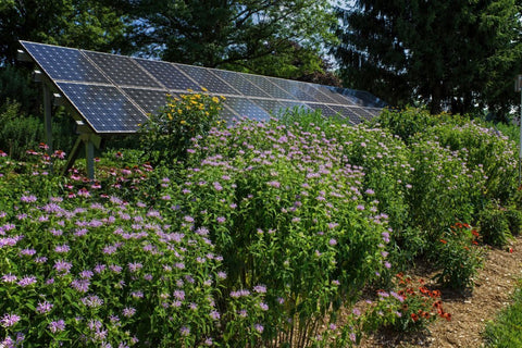 what is the standard size of a solar panel