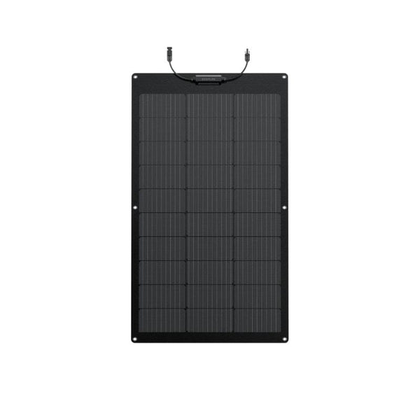 EcoFlow 100W Flexible Solar Panel