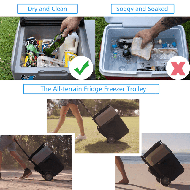 LionCooler Pro Portable Solar Fridge Freezer, 52 Quarts - With Battery - ShopSolar.com