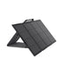 EcoFlow 220W Bifacial Solar Panel | IP67 | 20lbs - ShopSolar.com